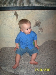 Digging for fossils at UMNH