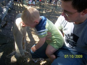 Petting a lamb.