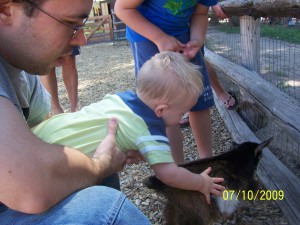 Petting a baby goat (a kid).