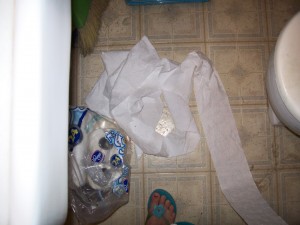 The toilet paper mess Aiden made.