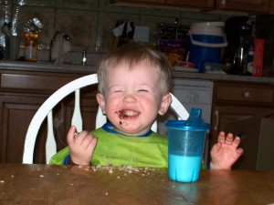 Mmmm!  Chocolate chip muffin!