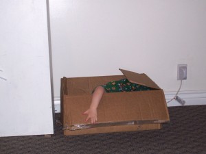 Hiding in a box, the best form of entertainment.