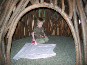 Ironing in the bird nest.