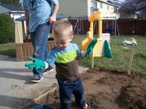 Trying to keep the gardening gloves on.